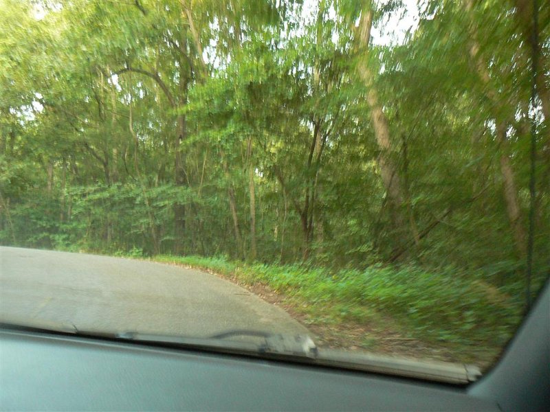 009-Drive above Top 'O The River.JPG